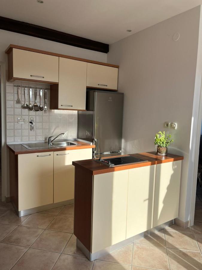 Apartment Marinovic Brzac
